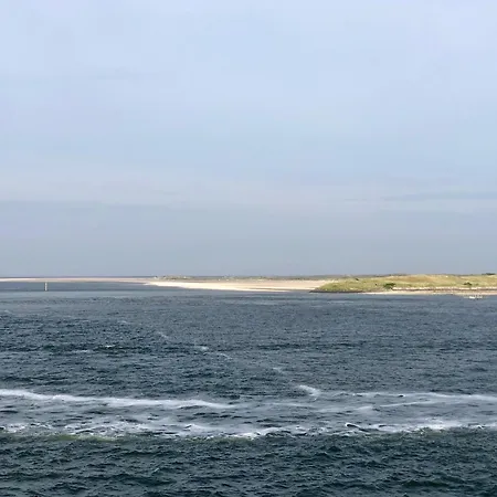 בקתה In Texel With Private Sauna